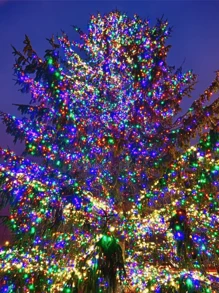 Serie Navideña de 200 Focos LEDs de 10 Metros con Luz Multicolor 8 Modelos de Iluminación  Ideal para Árbol de Navidad Acompañado de Esferas Navideñas Guirnalda Serie Lineal - Tipo de Enchufe B USA (110-127V) - Ver 3