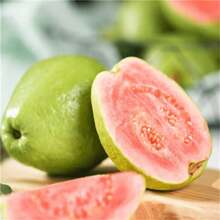 100pcs Heirloom Bala Guava Seeds - High Germination Rate With Natural Maturity For Home Gardens And Orchards - 100pcs - View 5