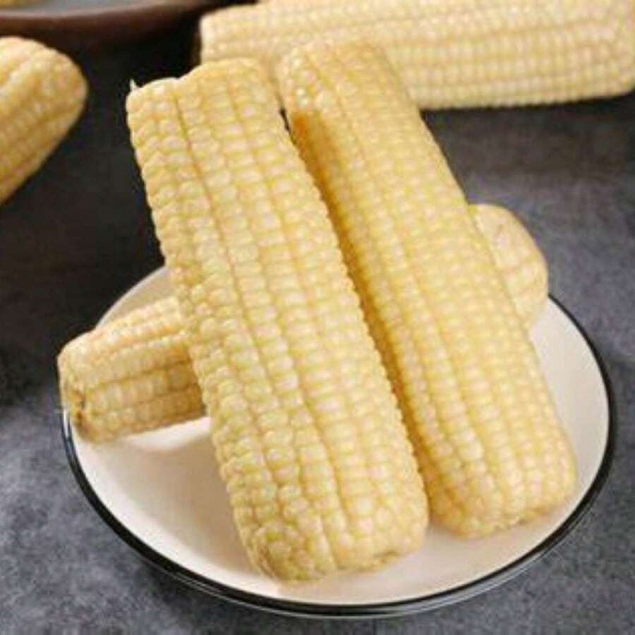 White Sweet Glutinous Corn Seeds, Big Stick Corn Seeds, Courtyard Planting Of Spring And Autumn Vegetable Seeds - 100pcs - View 1