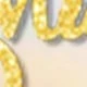 6pcs Gold Powder