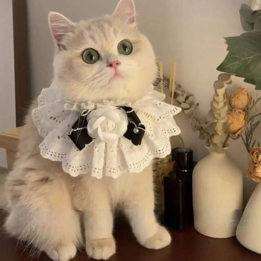 Cat Lace Necklace Accessory, Pet Plush Bow Tie Scarf, Dog Bell Collar, Bib - Black and White - View 1