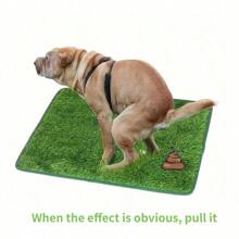 Alfombra reutilizable de entrenamiento para mascotas, almohadillas de baño lavables para perros, tapete de césped artificial para uso interior/exterior (Alfombra de césped para la caja de arena de un cajón, sin bordes) - Multicolor - Ver 7
