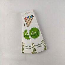 PLANT FUN HB 未削尖石墨可种植木质铅笔，种植花卉水果铅笔，铅笔 | 教师礼物，儿童返校创意礼物