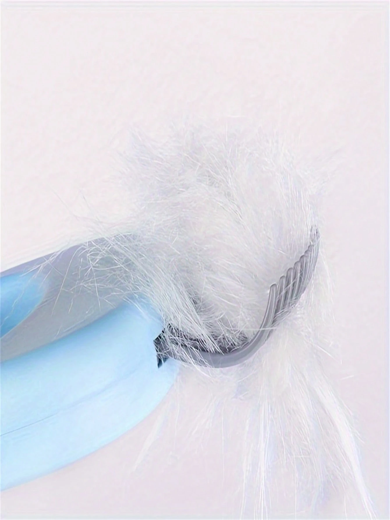 Toelettatori Cani Attrezzi Da Toelettatura Negozi Animali Pet Shop