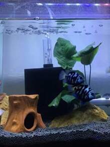 1 Peça Filtro de Esponja Bio para Aquário, Criação de Alevinos Betta, Camarão, Nano Peixes, 4 Tamanhos Diferentes de Filtros Proporcionam Filtragem Mecânica e Biológica, Super Filtro de Esponja Bioquímico para Aquários de 3 a 60 Galões