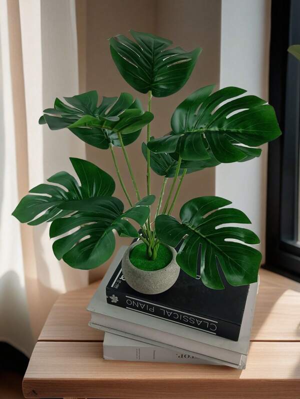 نبات بوكوبا مزروع مصنع تسعة رؤوس لديكور المنزل، عيد الحب، هدايا عيد الميلاد والتخرج والعودة إلى المدرسة، لوازم المدرسة