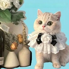 Cat Lace Necklace Accessory, Pet Plush Bow Tie Scarf, Dog Bell Collar, Bib - Black and White - View 8