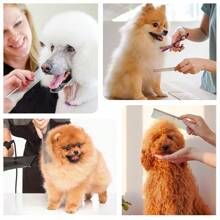 1 chiếc lược chải lông thú cưng bằng thép không gỉ mạ điện, dùng để gỡ rối và thắt nút cho chó, mèo và các vật nuôi lông dài khác, dụng cụ chải chuốt chuyên nghiệp. - Nhiều màu - Xem 5