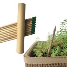 PLANT FUN HB 未削尖石墨可种植木质铅笔，种植花卉水果铅笔，铅笔 | 教师礼物，儿童返校创意礼物