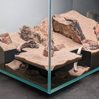 Aquariumhoektunnelschuilplaats - Een comfortabele afzondering voor vissen en waterdieren