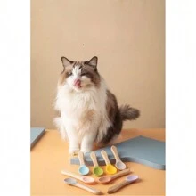 宠物猫罐头食品勺，木柄硅胶幼猫湿粮喂食勺，材质