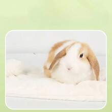 Universal Long Plush Warm Lounging Mat For Small Pets, Soft & Skin-Friendly, Suitable For Autumn/Winter, Warm Sleeping Foot Mat, Guinea Pig & Rabbit Cotton Nest