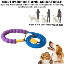 高品质 5 米 LED 照明伸缩宠物散步牵引带，带 LED 照明手电筒，宠物安全伸缩宠物散步牵引带 - 彩色 - 查看 16