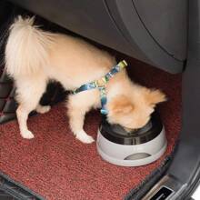 750ml Cat Dog Water Bowl Dispenser No Spill Water Bowl For Dogs Travel Water Bowl,No Messy Splashes Spilling Or Drips For Dogs & Cats 25OZ - Multicolor - View 2