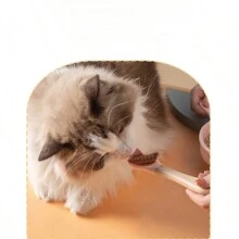 宠物猫罐头食品勺，木柄硅胶幼猫湿粮喂食勺，材质