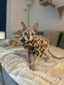 Fashion Winter Soft Warm Leopard Print Cat Clothing Comfort Thickened Cat Clothes For Sphynx Cat Clothes Hairless Cat Kitten Outfits Clothes - Brown - View 1