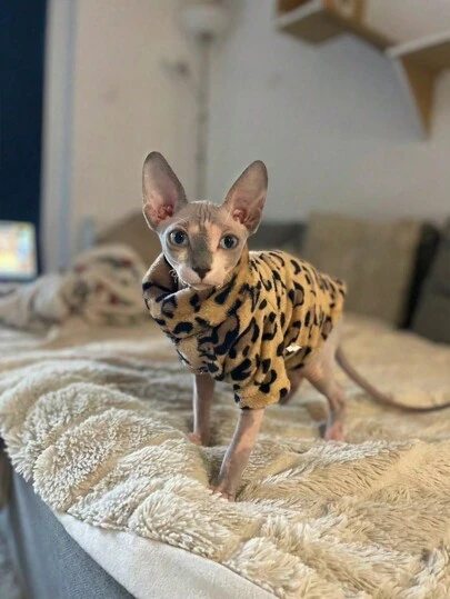 Mode Vinter Mjukt Varmt Leopardtryck Kattkläder Komfort Förtjockade Kattkläder För Sphynx Kattkläder Hårlös katt Kattungekläder Kläder