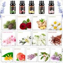 Essential Oils Set - 26cps Aromatherapy Essential Oils Kit For Diffuser, Massage, Skin & Hair Care, Candle Making - Lavender, Sweet Orange, Tea Tree, Lemongrass, Peppermint, Bergamot, Frankincense, Rosemary, Lemon, Cinnamon, Geranium, Patchouli, Clove, Vanilla, Jasmine, Sandalwood, Ylang-Ylang, Grapefruit, Sage, Eucalyptus, Chamomile, Rose, Cherry Blossom, Ginger, Pine, Thyme, Oregano, Basil, Neroli, Black Pepper, White Tea, Gardenia Essential Oil. - 26 PCS/SET - 查看 4
