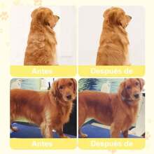 3 In 1 Depilación Cepillo De Vapor Para Gato/perro Mascota