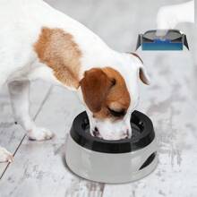750ml Cat Dog Water Bowl Dispenser No Spill Water Bowl For Dogs Travel Water Bowl,No Messy Splashes Spilling Or Drips For Dogs & Cats 25OZ - Multicolor - View 11