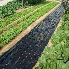 1pc Perforated Plastic Garden Mat PE Black-Silver Landscaping Barrier Mulch Film