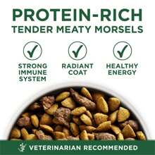 ONE Plus Alimento seco para perros de raza pequeña, adultos, libre de granos, alta proteína de cordero y arroz, bolsa de 7.4 libras - Rojo - Ver 2