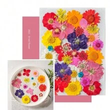 35pcs Dried Pressed Flowers For Resin Molds, Real Pressed Flowers Dry Leaves Kit For Art Crafts Resin Jewelry Making Scrapbook Supplies Card Making Soap Candle DIY Nails Decor| Valentine Day's Gift| Couple Gift| Christmas Gift Xmas Gift| Halloween Gift Decor