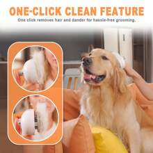 1pc Pet Massage Comb, Pet Spray Brush For Shedding, Massage, Pet Hair Removal Tool, Undercoat Brush With USB Rechargeable & Water Tank