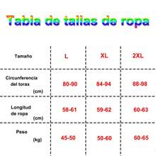 Women's Long-Sleeved T-Shirt, Mesh Base Shirt, Slimming, Shiny Material - 紫色 - 查看 7