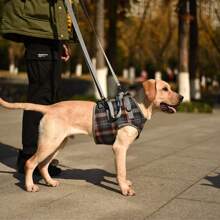 1pc Pet Leg Harness, Stylish Dog Leash, Mobility Support Dog Leg Brace, Walking Aid For Disabled, Elderly, Injured Dogs