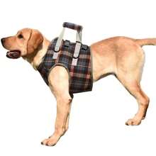 1pc Pet Leg Harness, Stylish Dog Leash, Mobility Support Dog Leg Brace, Walking Aid For Disabled, Elderly, Injured Dogs