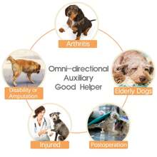 1pc Pet Leg Harness, Stylish Dog Leash, Mobility Support Dog Leg Brace, Walking Aid For Disabled, Elderly, Injured Dogs