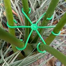 4个塑料茎夹，耐用葡萄藤支撑夹，多功能装饰花园茎栅栏 - 彩色 - 查看 6