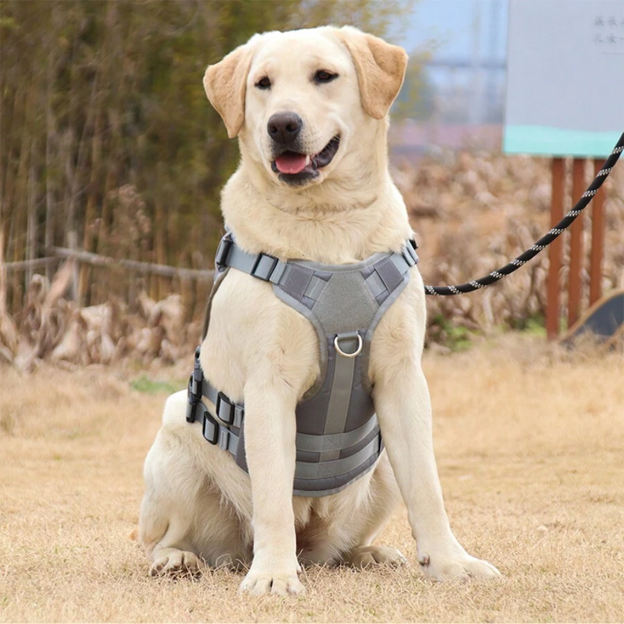 Dog Chest Harness, Multi-Function Explosion-Proof Gray, Easy Fastening, Washable, Suitable For Small/Medium/Large Dogs, Such As German Shepherd, Border Collie, Golden Retriever, Corgi, All Seasons