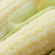 Sticky Corn Seed Sweet Waxy Sticky Sweet White Corn Seed Nutritional Sticky Corn Seed - 50pcs - View 2