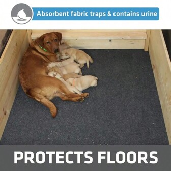 2 buc. Covoraș din fetru pentru animale de companie - Lavabil la mașină, etanș, potrivit pentru animale de companie, anti-incrustare - Potrivit pentru rase de la extra-small la mari, material absorbant pentru protecția podelei