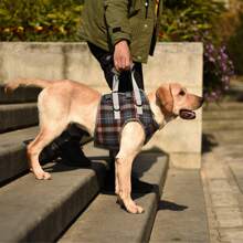 1pc Pet Leg Harness, Stylish Dog Leash, Mobility Support Dog Leg Brace, Walking Aid For Disabled, Elderly, Injured Dogs