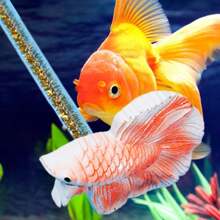 1 Pc Simulation Betta Training Wand Toy Fish Tank Interactive Stick Toy For Fishtanks Accessories - Multicolor - View 2