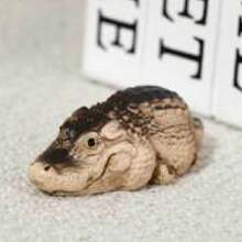 1 szt. Ozdoba w postaci posągu krokodyla, ogrodowa figurka krokodyla, żywiczna rzeźba zwierzęcia, słodka miniaturowa figurka do dekoracji wnętrz i na zewnątrz - Wielokolorowe - Zobacz 1