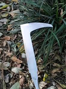 1 件不锈钢拔除器，园艺耕耘机工具，适用于除草、蔬菜收割、盆景种植和墙壁缝隙 - 銀色 - 查看 3