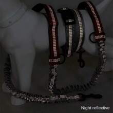 Retractable Hands  Dog Leash For Running Judge Leash Large Dog Pet Supplies - Orange - View 3