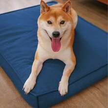 1pc Comfy Dog Bed, Warm Dog Cushion For Winter, Pet Sofa, Dog Mat, Puppy Nest, Suitable For Dogs All Seasons, Cozy Dog House