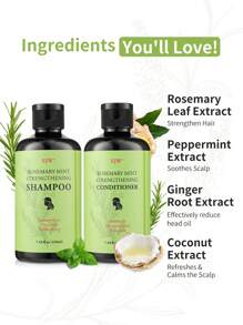 Conjunto para Cuidados com o Cabelo 3 peças, Shampoo Orgânico de Alecrim e Hortelã, Condicionador e Óleo Essencial para o Couro Cabeludo, Limpa e Ajuda no Fortalecimento dos Cabelos Fracos e Quebradiços