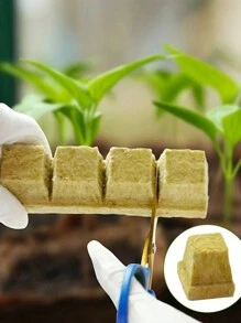 50/100pcs No Soil Cultivation Seedling Blocks, Grow Blocks,Hydroponics Rockwool Cubes With Holes,Gardening Plant Growing Blocks, Breathable Felt Plant Growing Plant Blocks, Garden Raise Supplies,Perfect For Rooting, Cuttings, Cloning Plants, Seed Germination,All Garden Enthusiasts