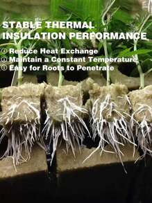 50/100pcs No Soil Cultivation Seedling Blocks, Grow Blocks,Hydroponics Rockwool Cubes With Holes,Gardening Plant Growing Blocks, Breathable Felt Plant Growing Plant Blocks, Garden Raise Supplies,Perfect For Rooting, Cuttings, Cloning Plants, Seed Germination,All Garden Enthusiasts