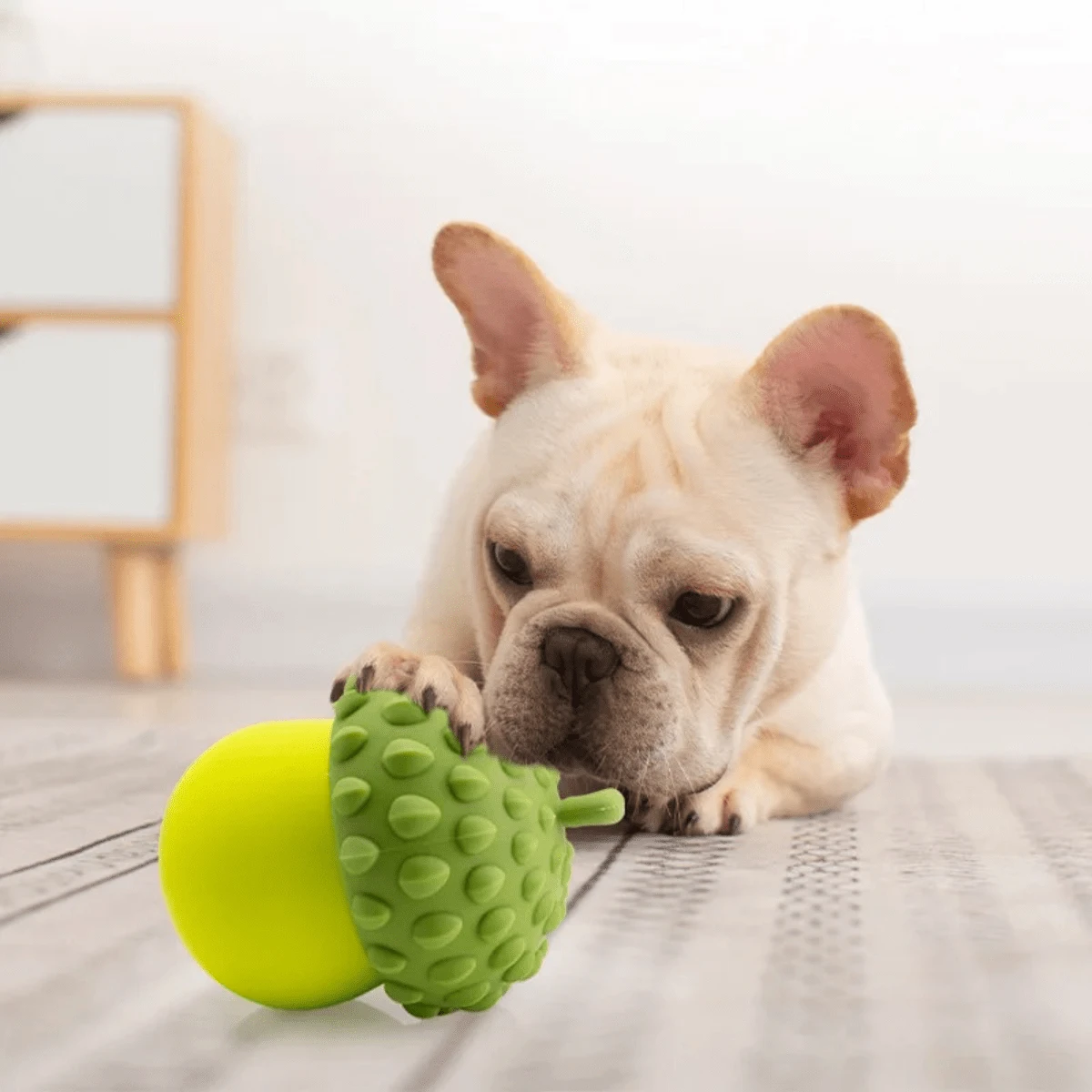 Ensemble De Jouets à Mâcher Pour Cochon D’Inde Et Chinchilla – Accessoire Bleu En Plastique Et Métal