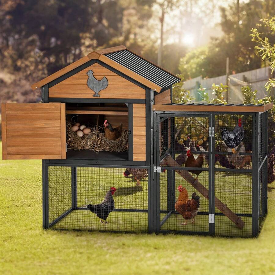 Durable Wood And Iron Chicken Coop With Runway And Waterproof Roof, Suitable For 5-7 Chickens, Built-In Nesting Box - 棕色 - 查看 1