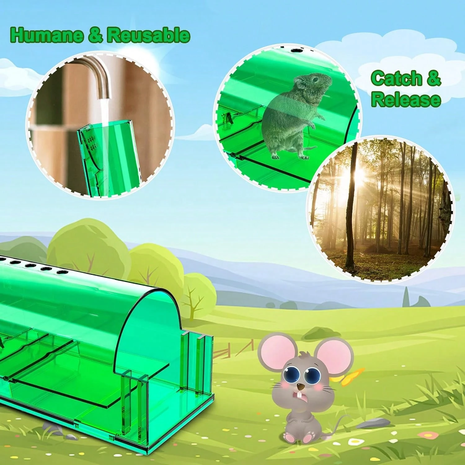 6 piezas Trampas humanas sin matar para ratones, atrapar y soltar ...