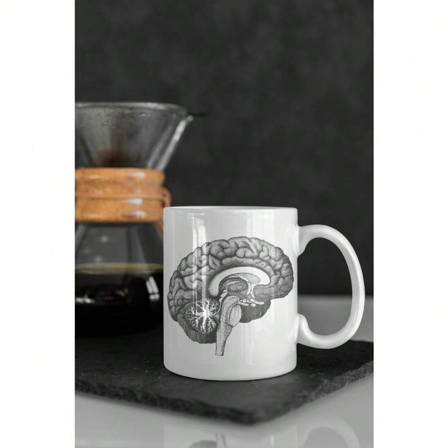The Anatomy Of The Brain | Medical Mug Design Gift | Secret Santa ...