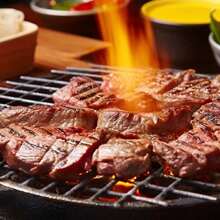 切肉机厨房手动切片刀切肉刀适用于新鲜牛肉猪肉切割器家用烹饪和烧烤火锅不锈钢工具